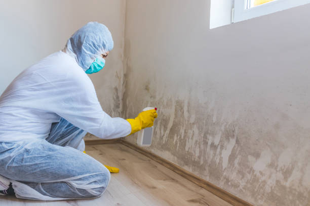 Mold Remediation specialist working in Great Falls